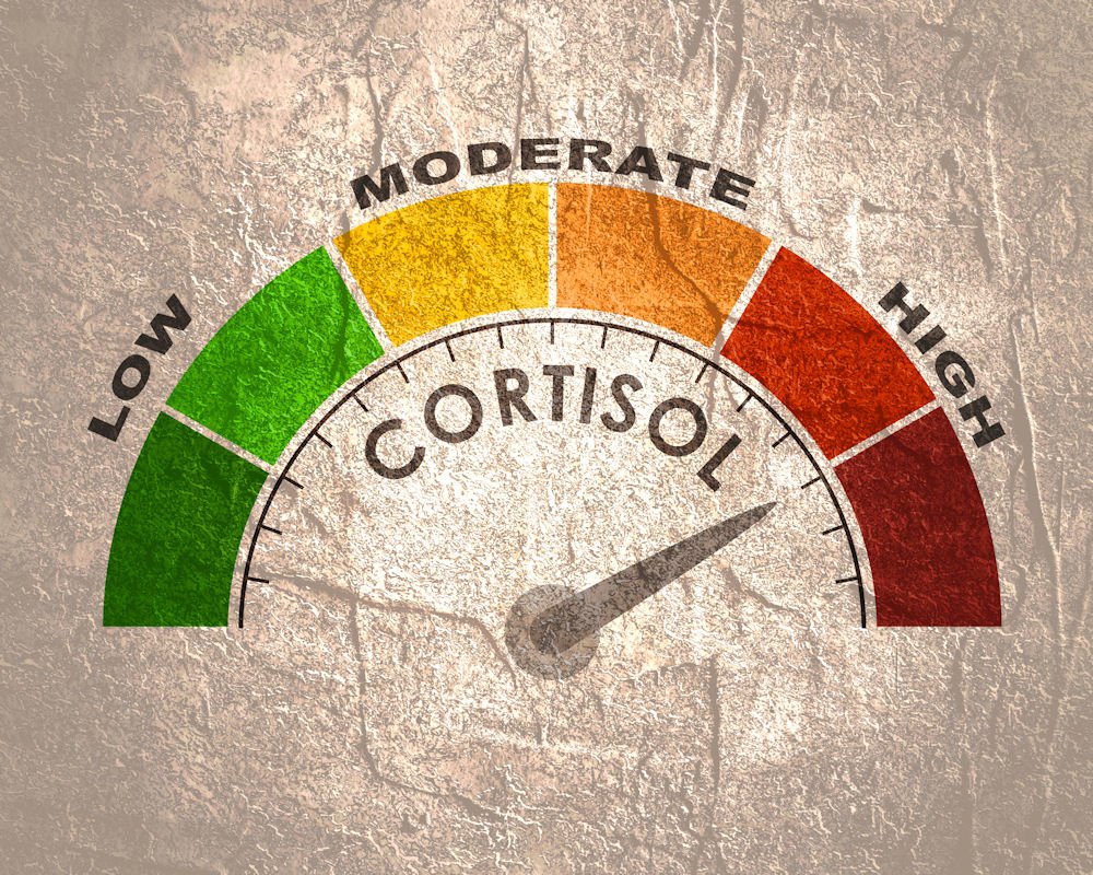 alcohol and cortisol
